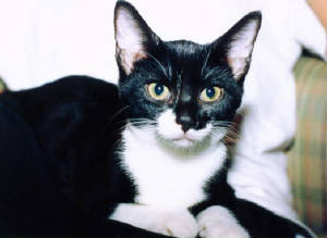 tuxnov2004.jpg